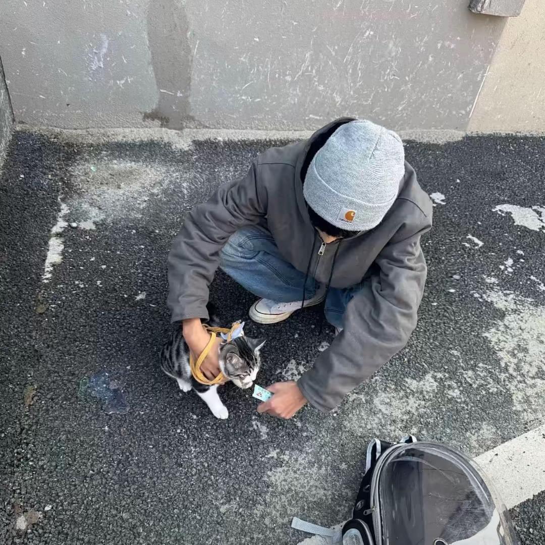忧郁的屌丝