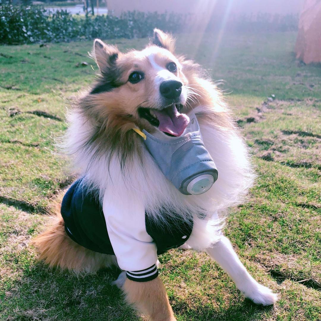 未央1