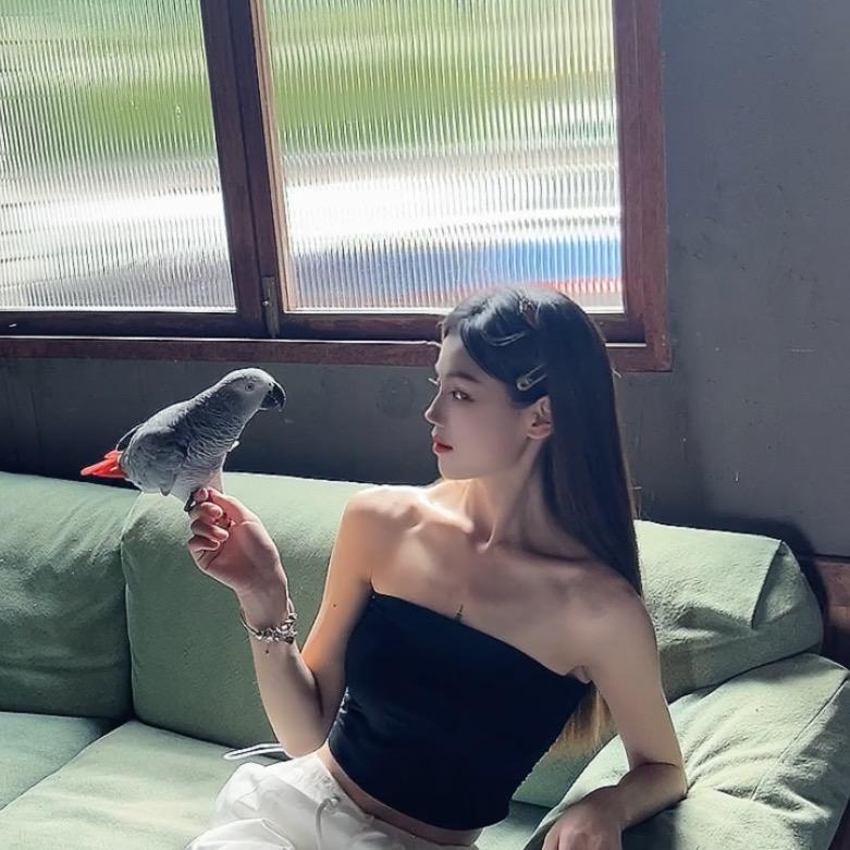 紫蓝鹦鹉小妮