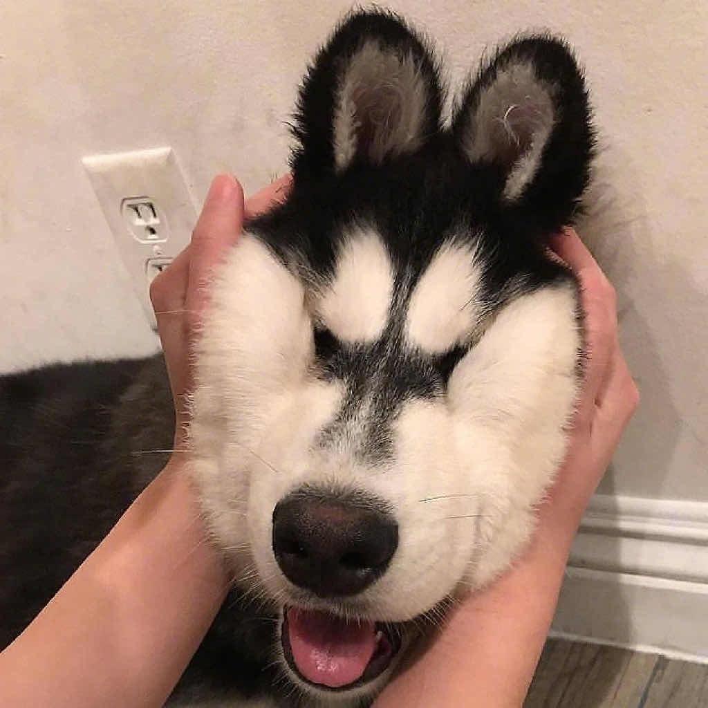 下次见