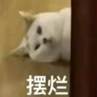 有头没脑是小🌰