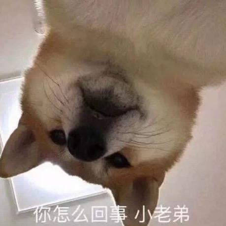 帅气少女美岚子