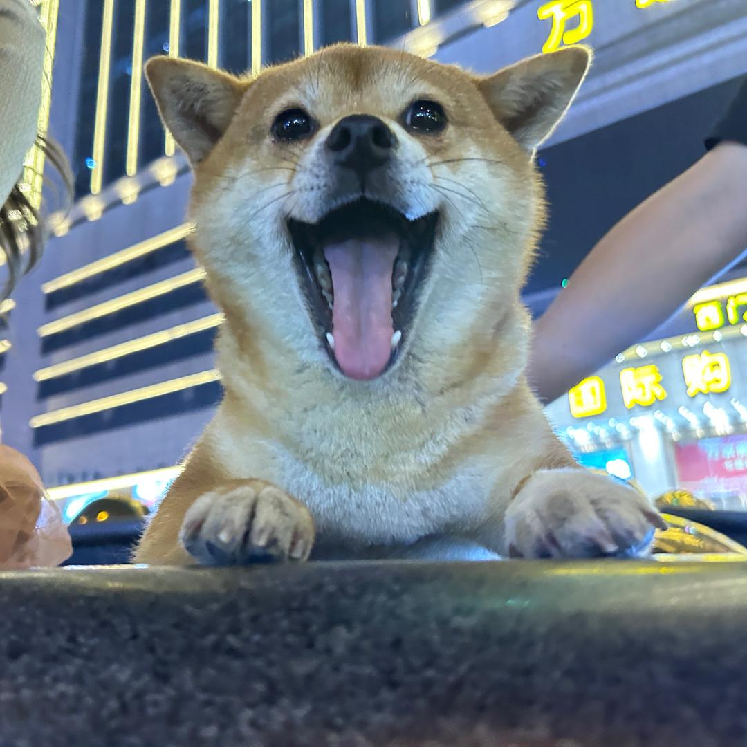 兜兜转圈圈