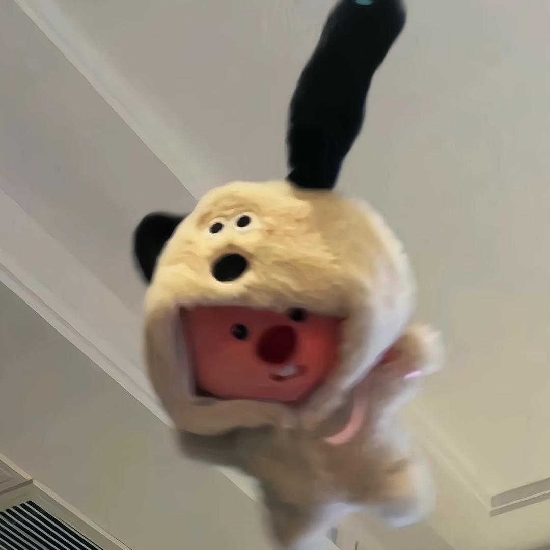 DID