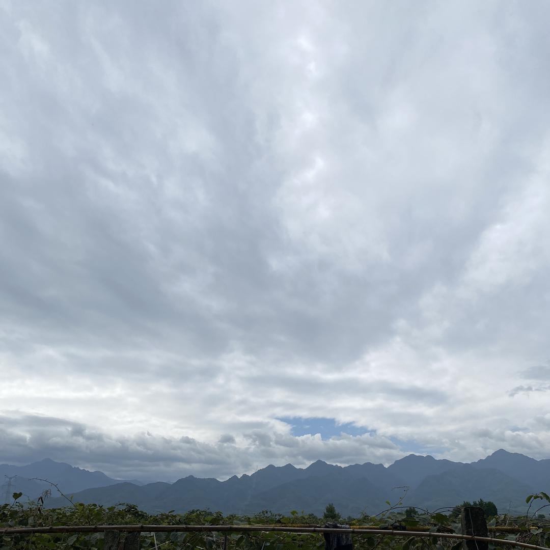 李大叔卖自家果