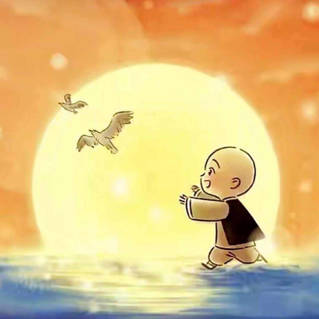 阳光-