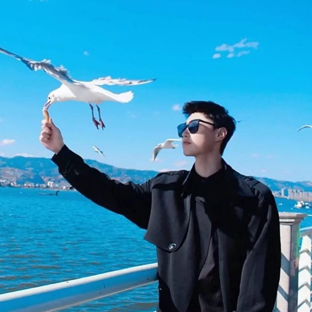 上海娱乐指南💞安悦