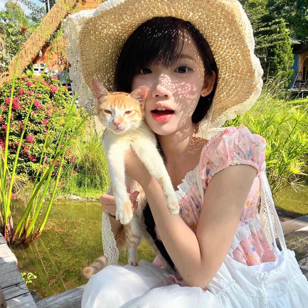 QQ年糕