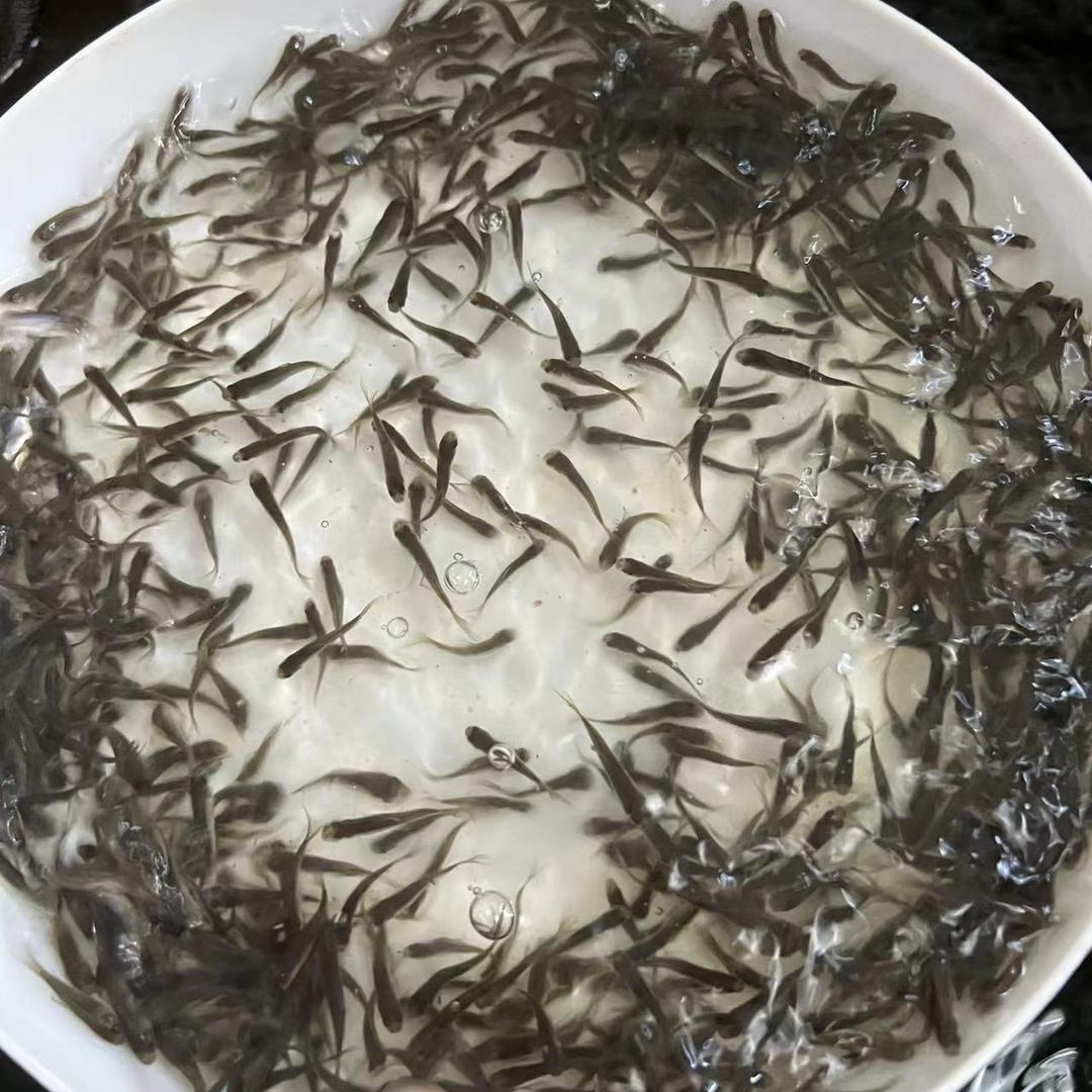 恒之家水产