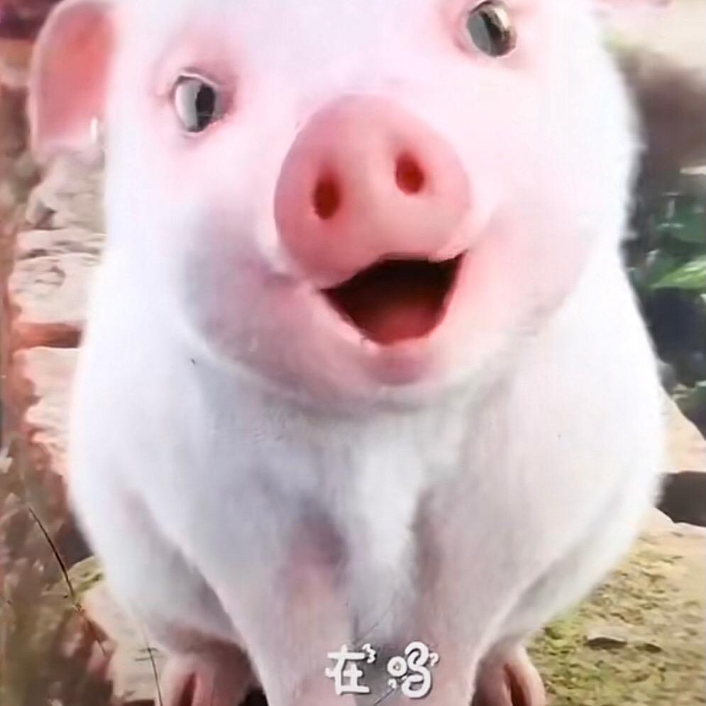 不知不觉