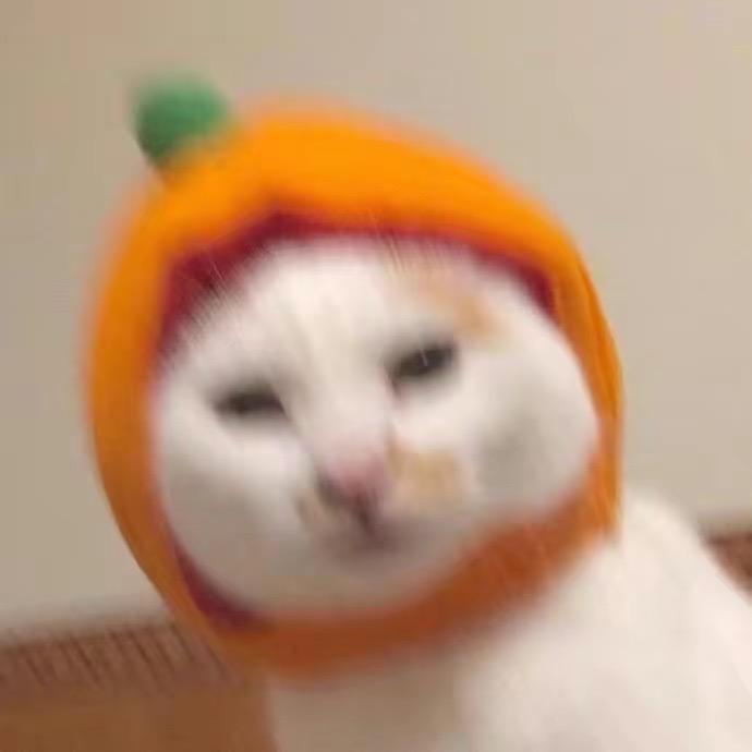 三瓣桔子🍊