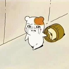 梅花落南山