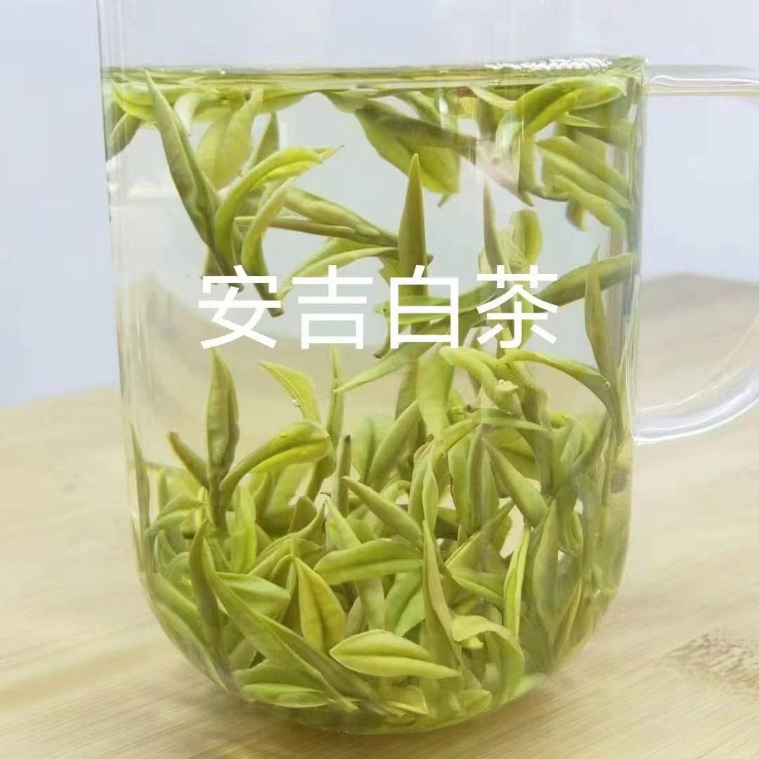 安吉白茶专柜包邮