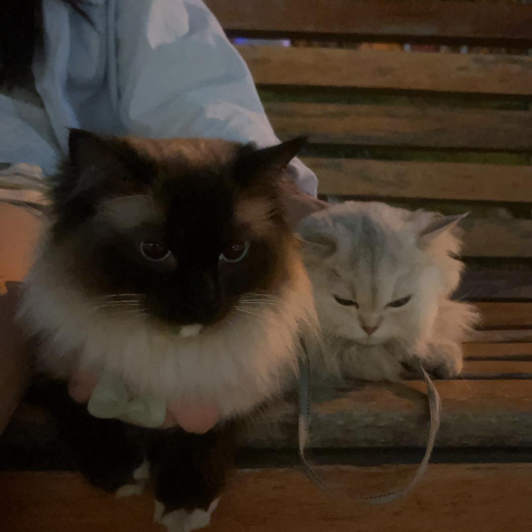 不听