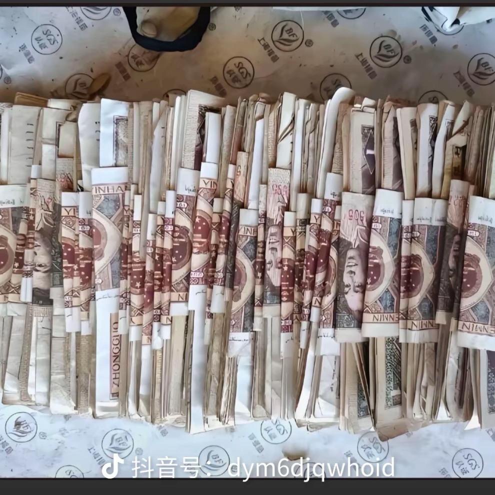 皮蛋solo粥zz