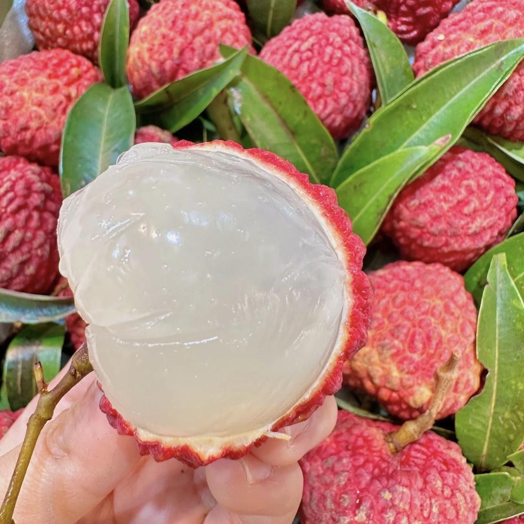 点点果果阳光玫瑰明日达