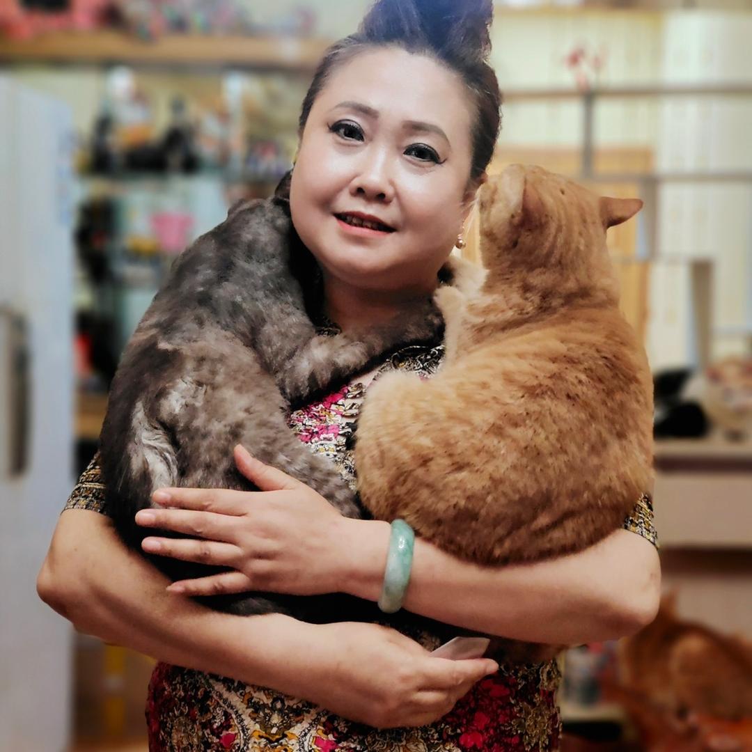 我是猫奶奶