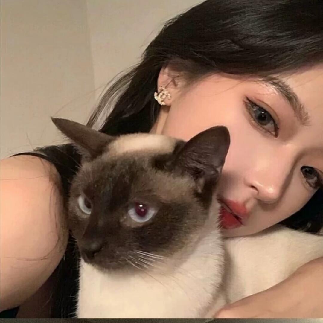 茜茜