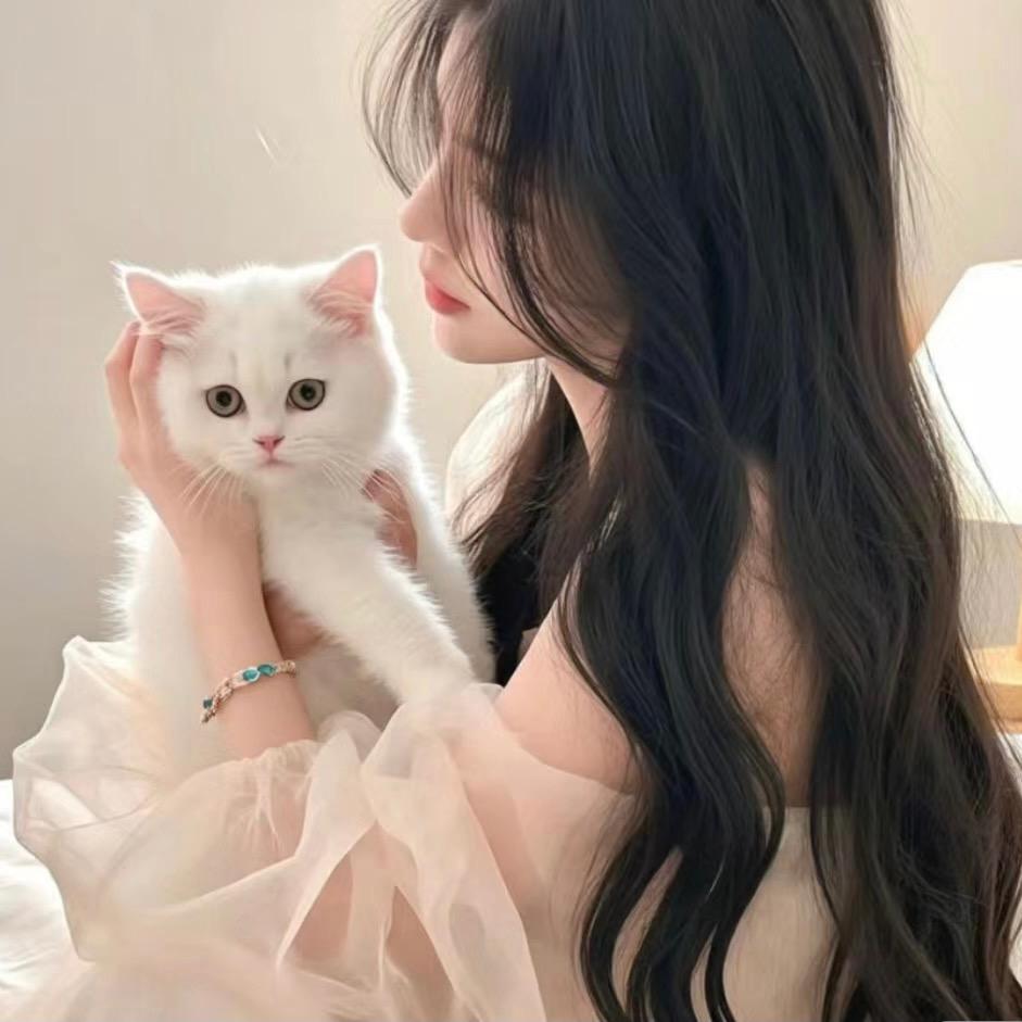 秦怼怼