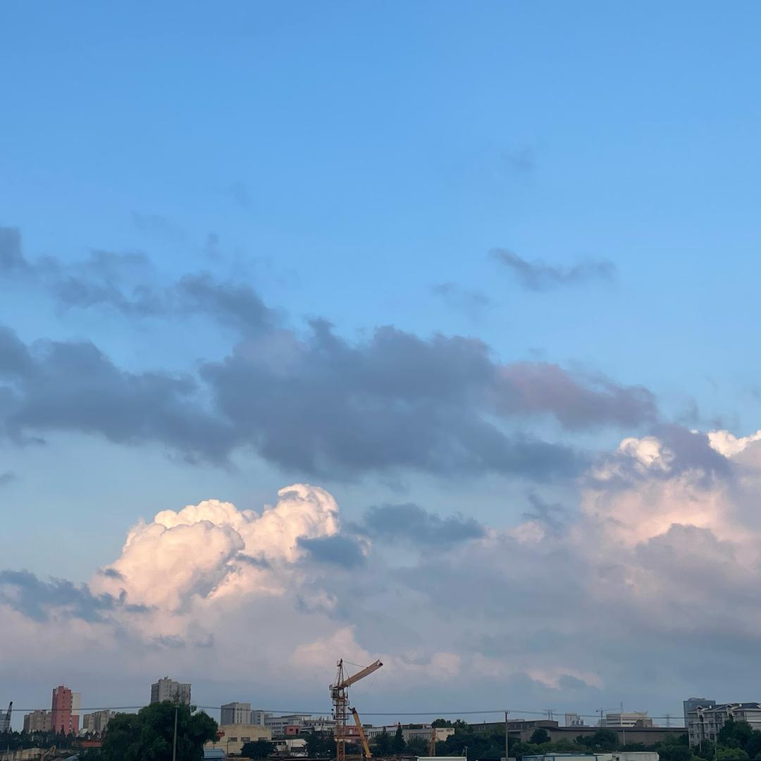 小董