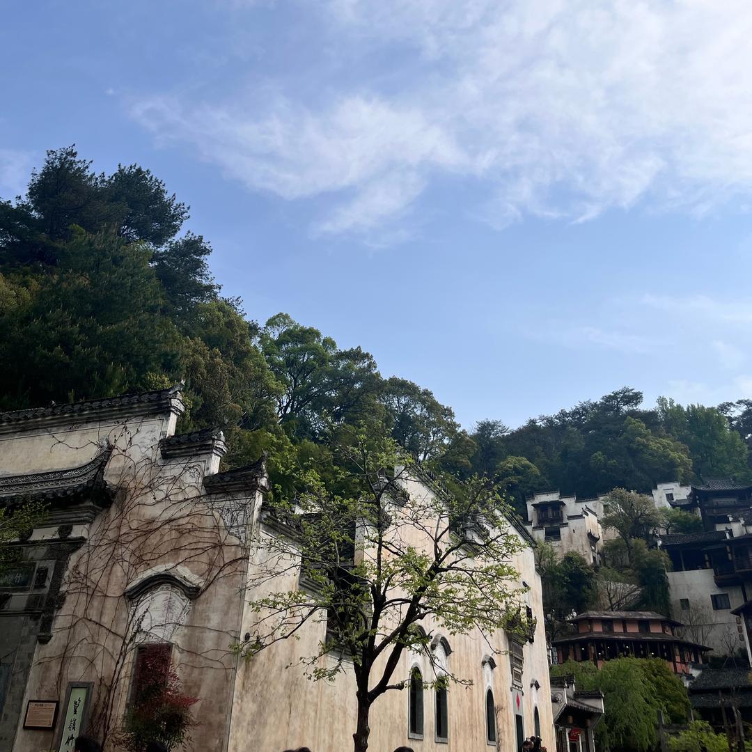 大鱼_