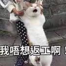 去码头整点🍟.