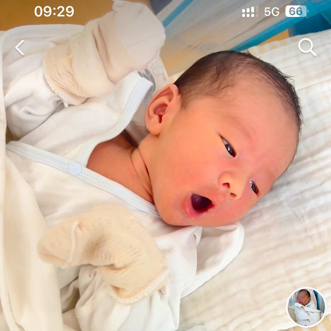 小怿日记📝