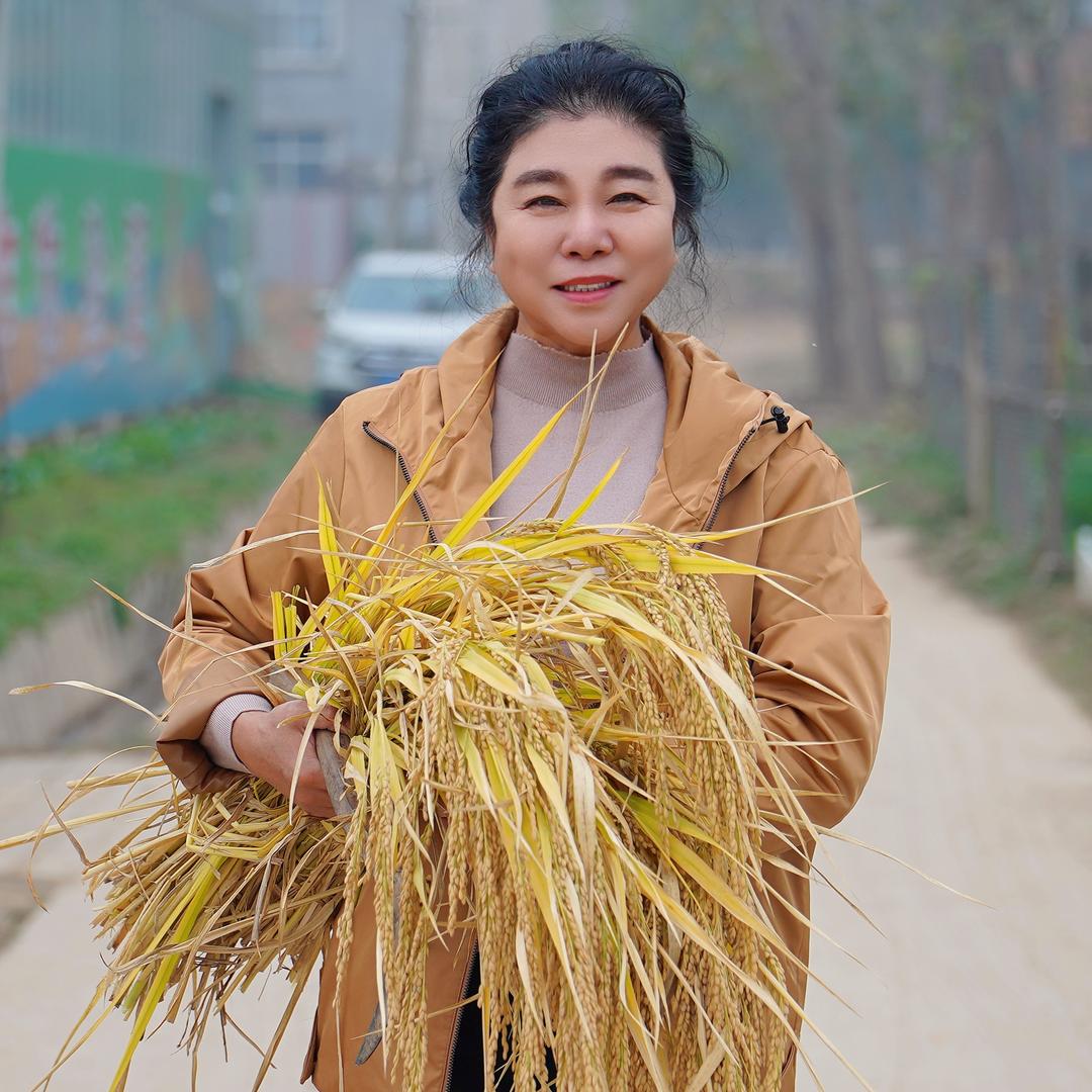 智沃新农业-涿州贡米