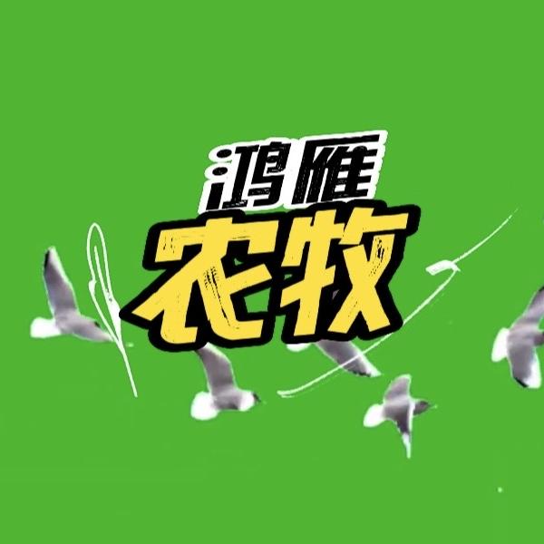 鸿雁农牧