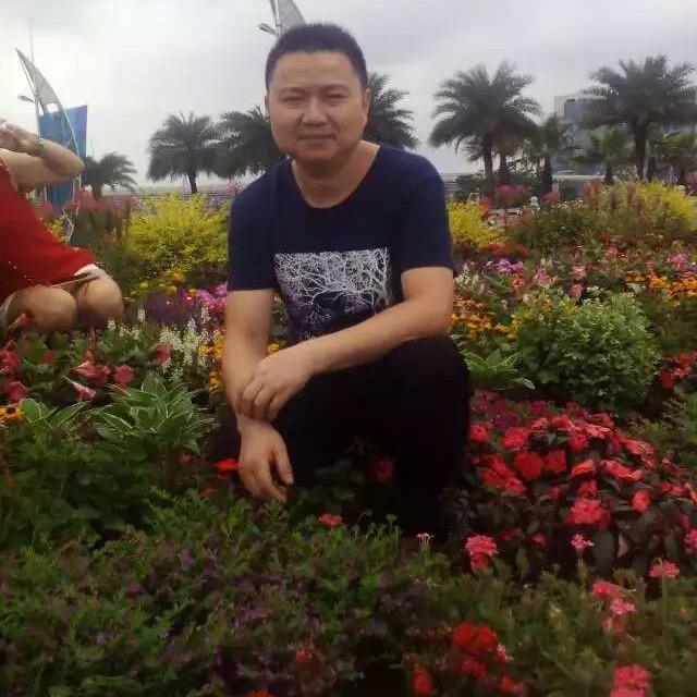 阳刚