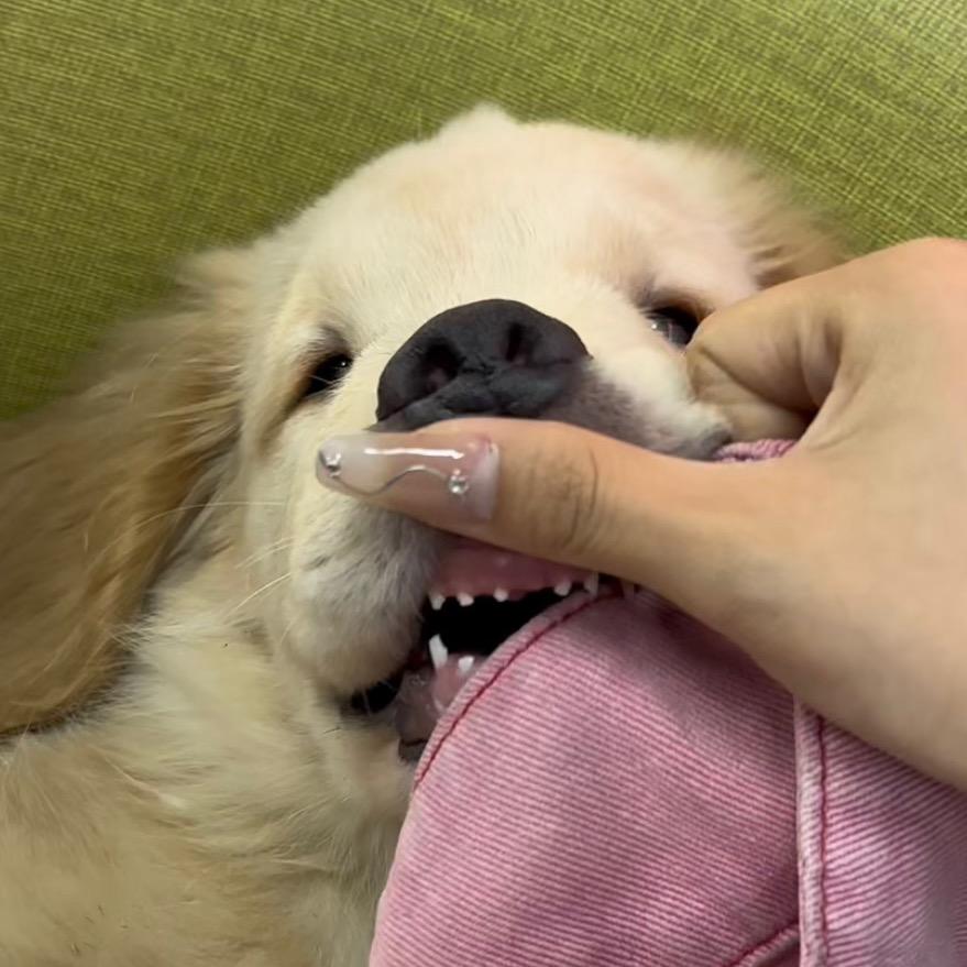 蛋蛋不捣蛋