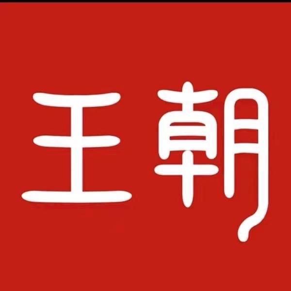 比亚迪王朝网-临清店