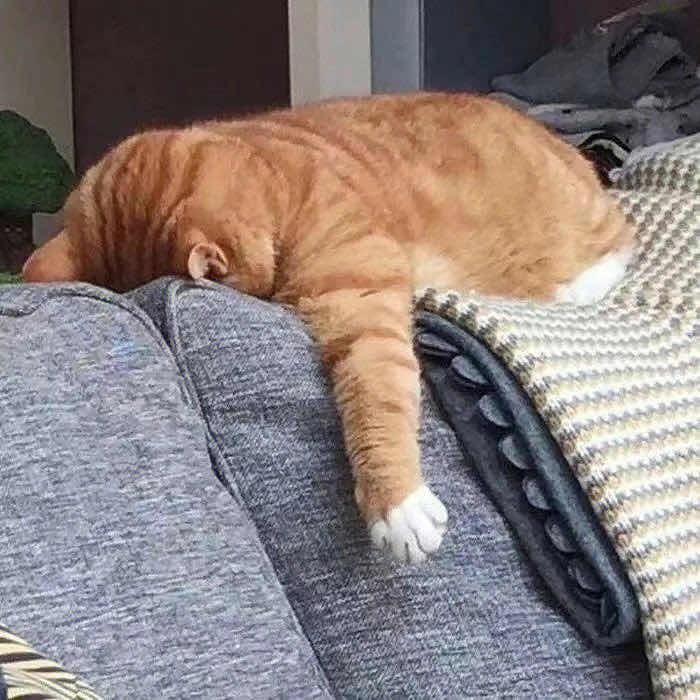 翩