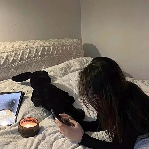 呆猫