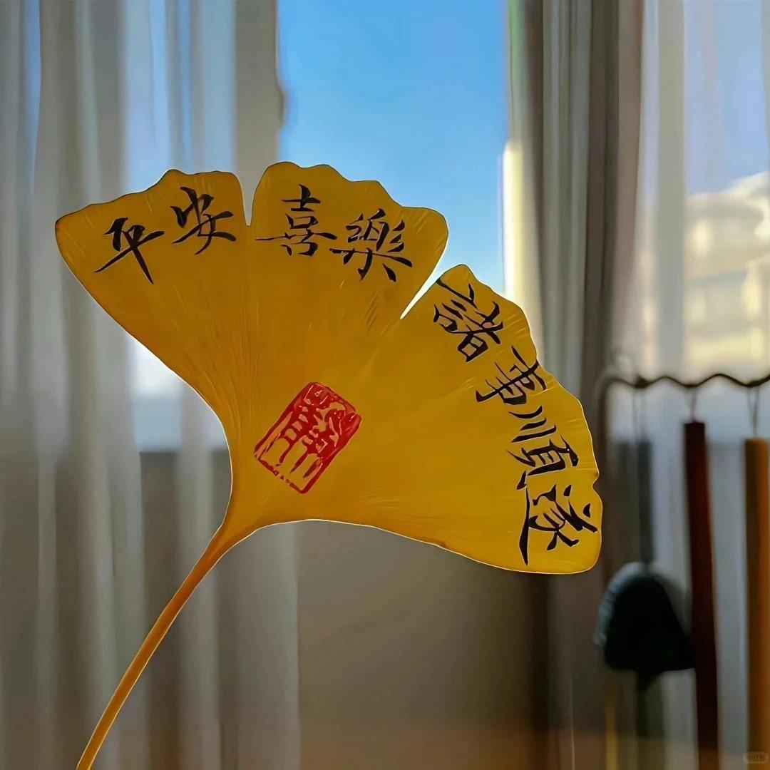 QQ 糖～（🧪孕中期）