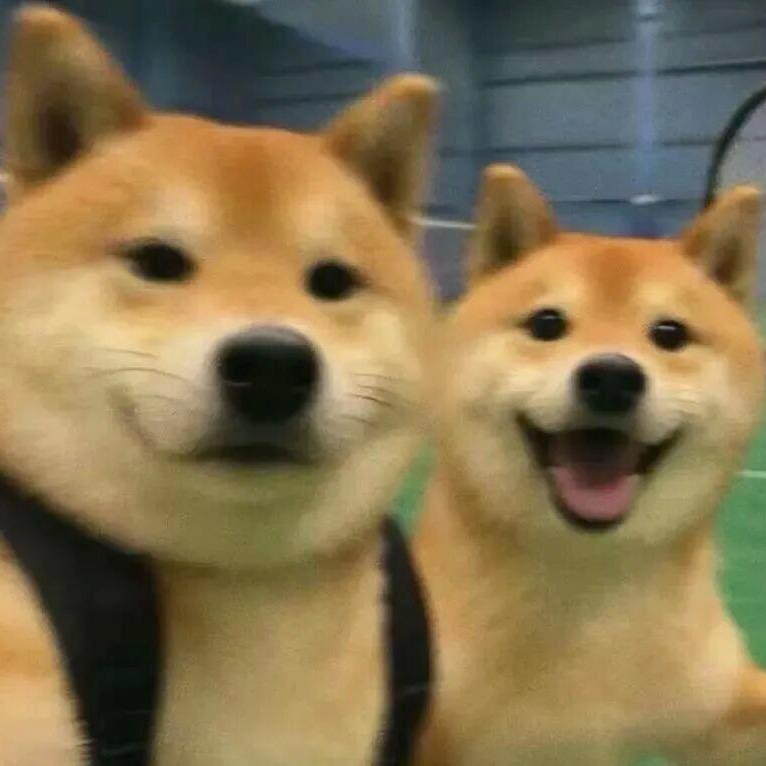 芳华🏸
