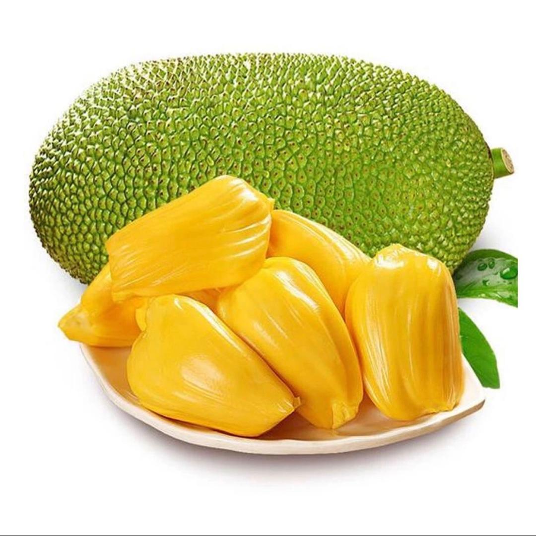 汇滋百果小时达