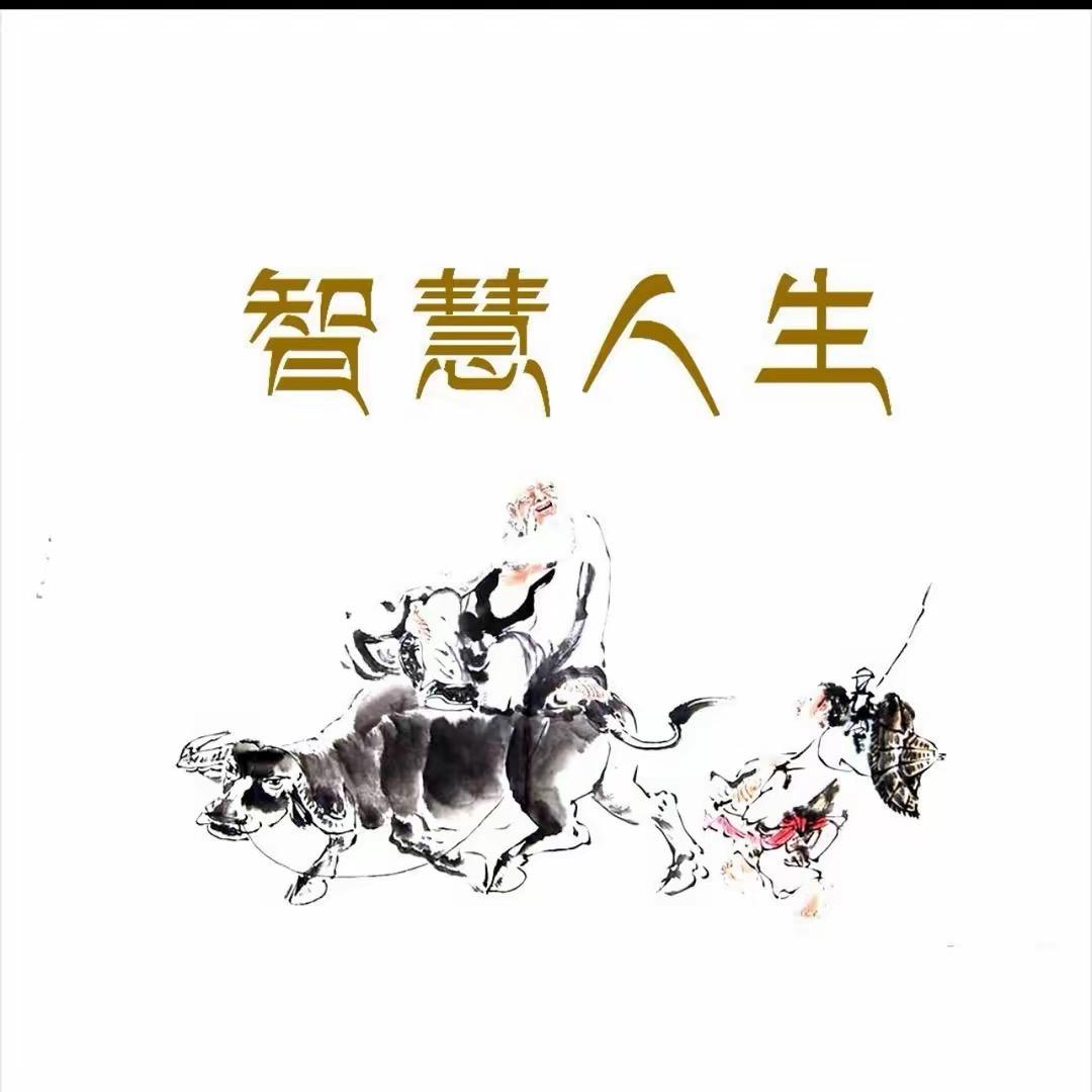 静莲居士