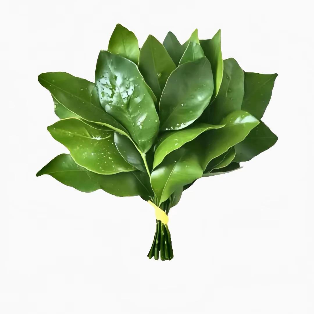 湜七.