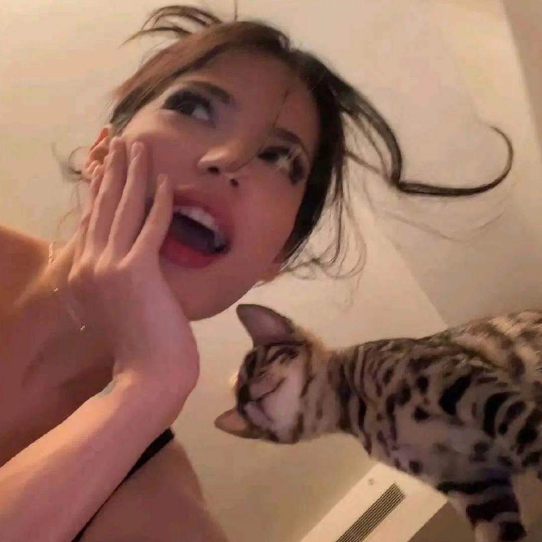 耿耿