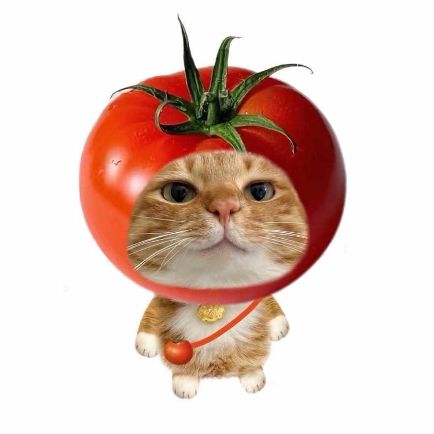 关你什么柿🍅