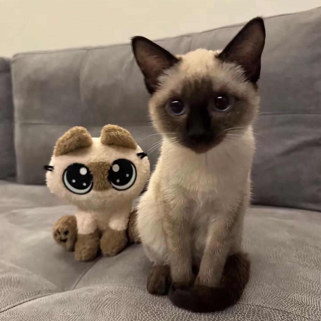 尿是我无色的血