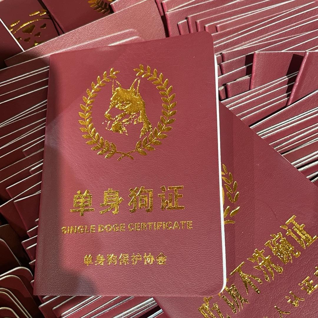 爱看戏的演员