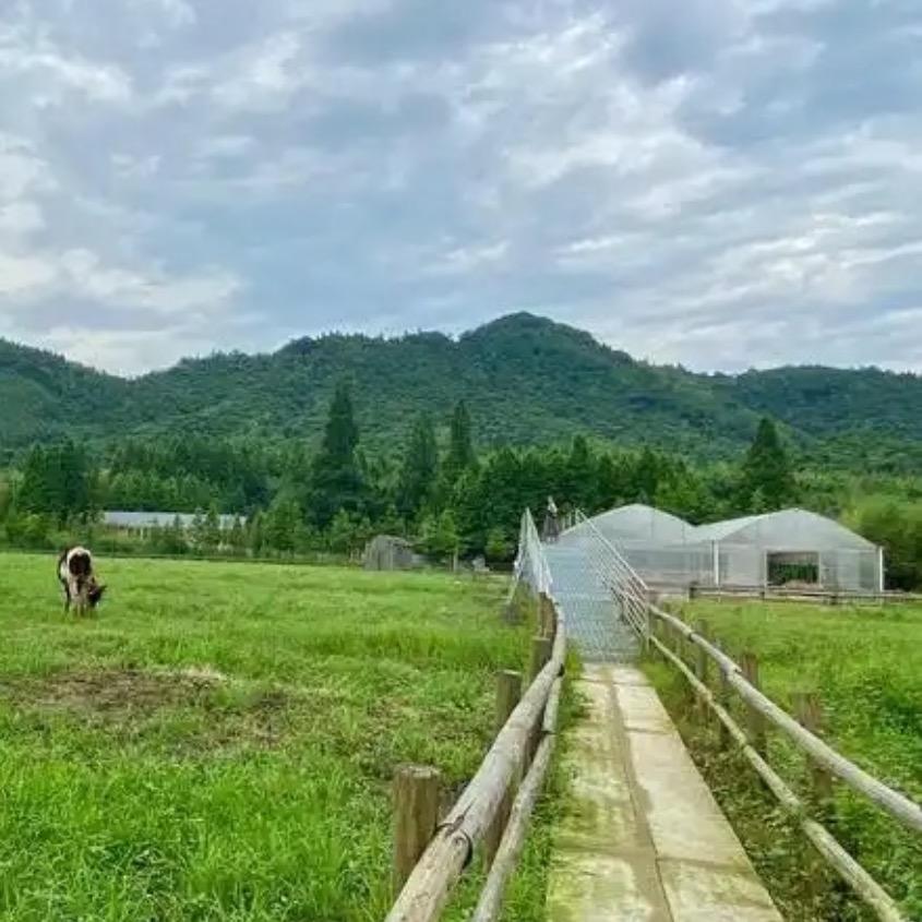 安心农场