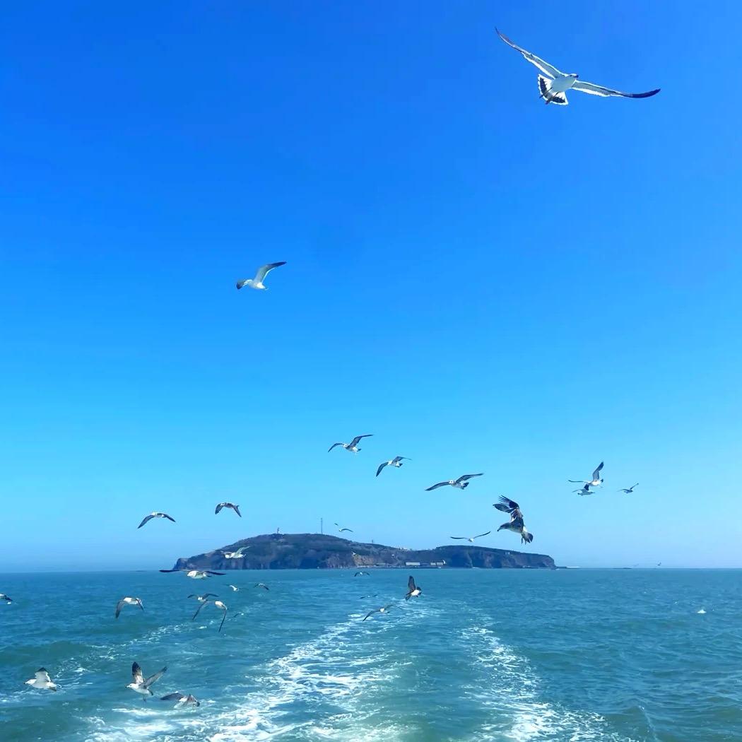 小包子助农工作室