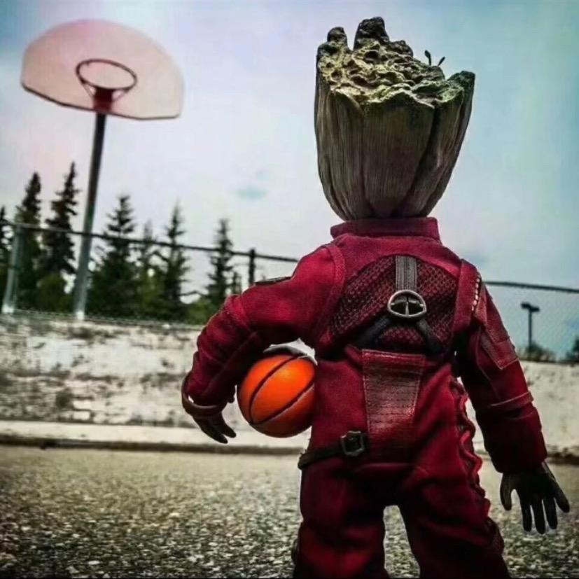 狂躁的皮皮猪