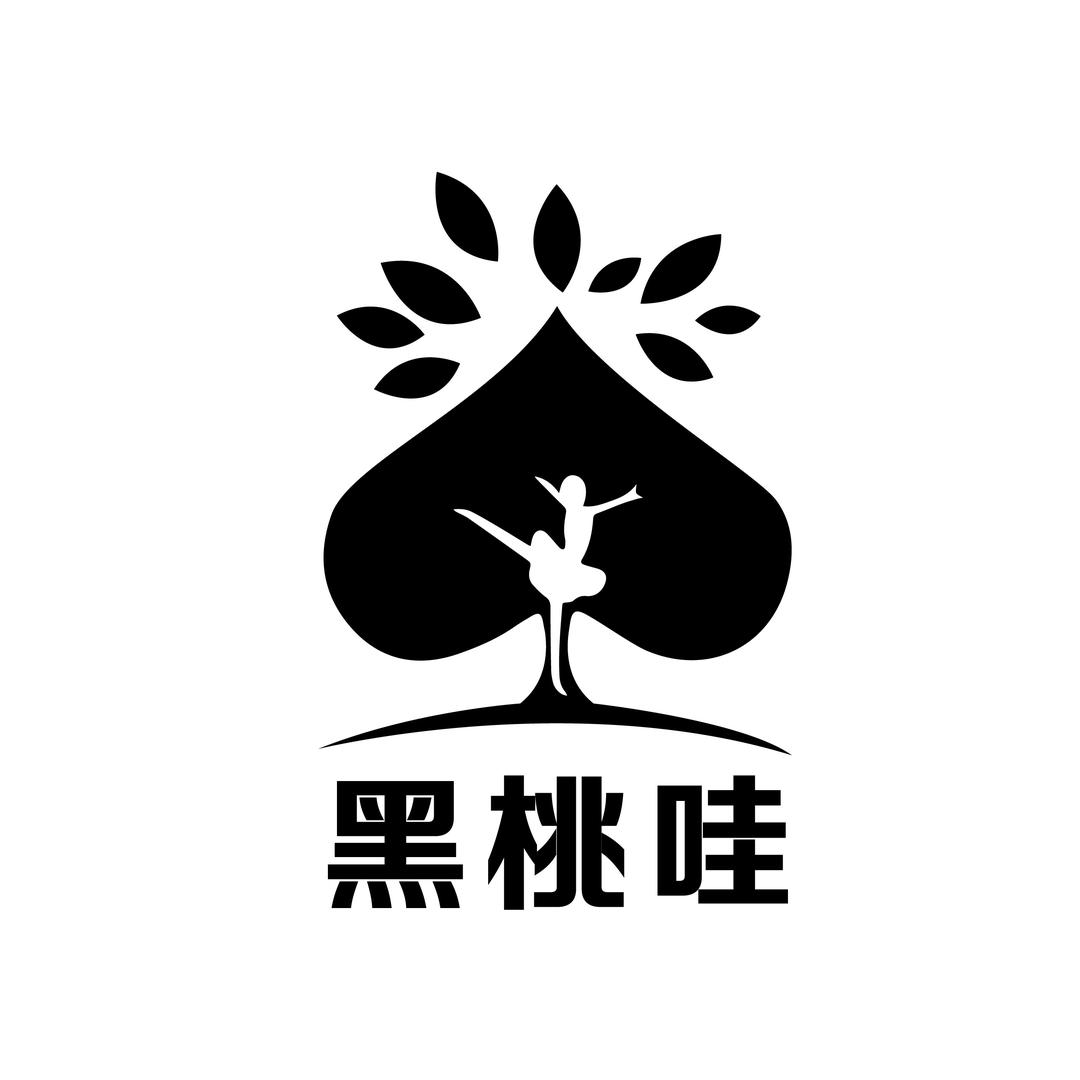 淮南黑桃哇教育咨询有限公司