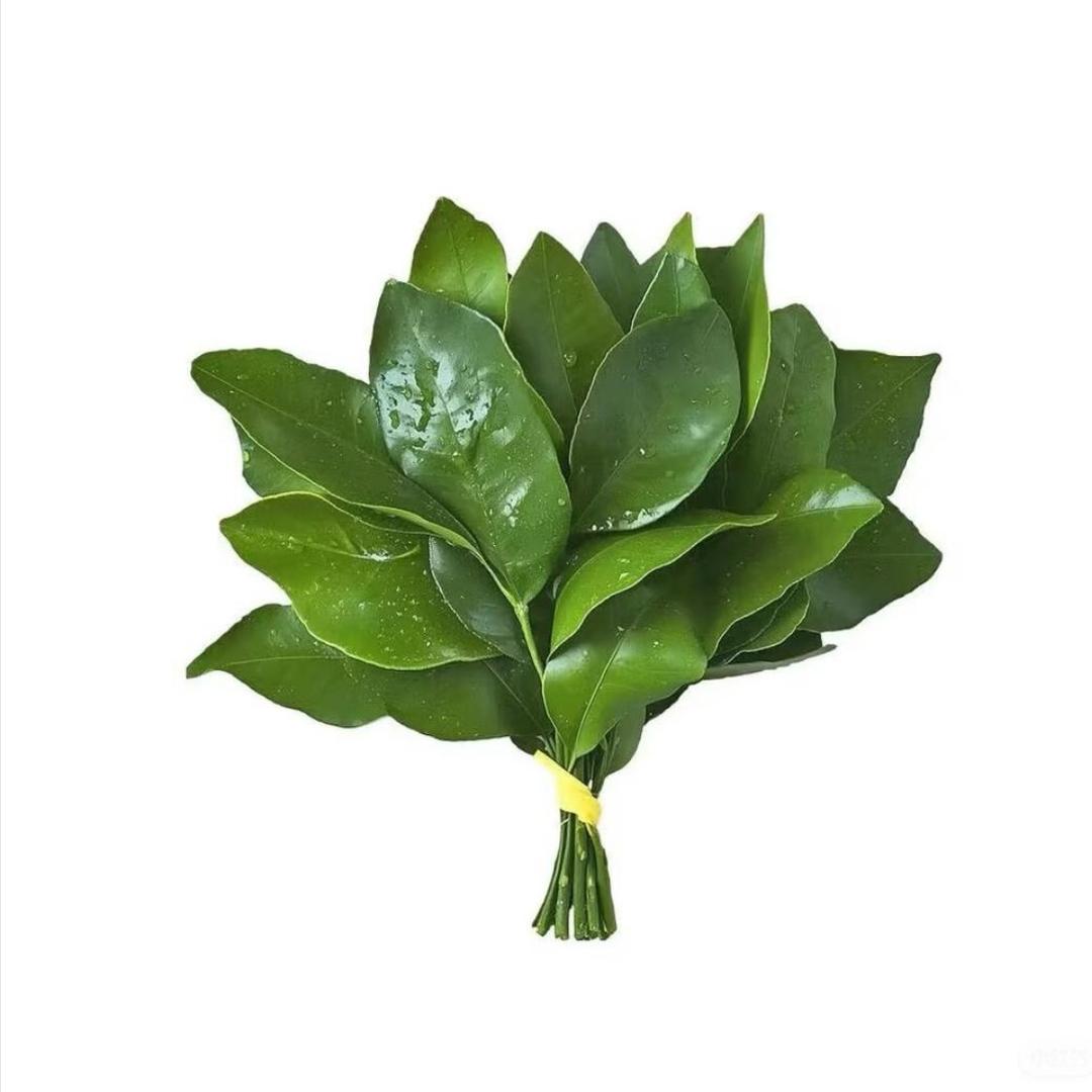 桉