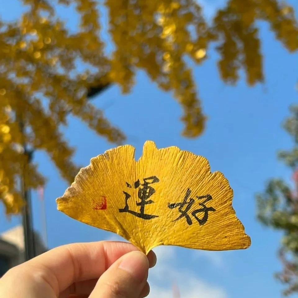 玖亿玖百货商行