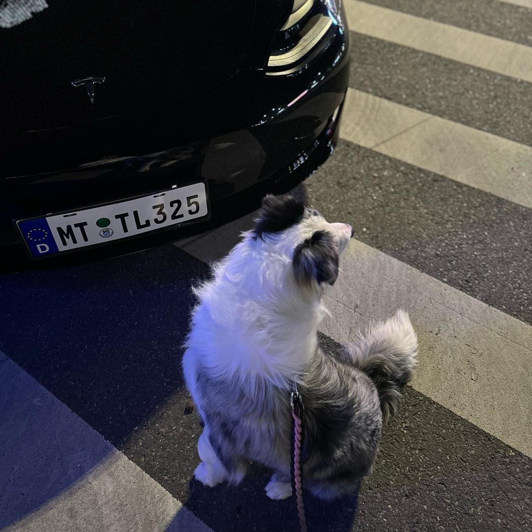 爱吃小熊软糖、